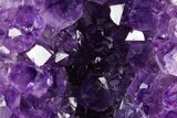 Free-Standing Amethyst Crystal Cluster - Uruguay #373182-1